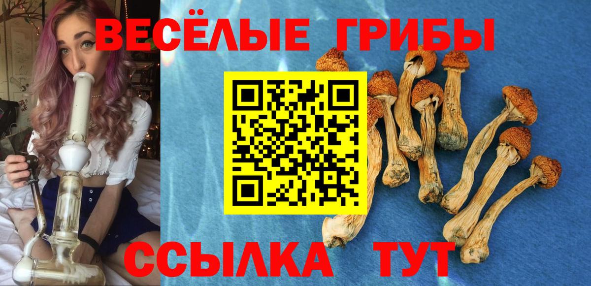 Слободской  Галлюциногенные грибы мицелий  Вход с VPN  Галлюциногенные грибы мицелий 